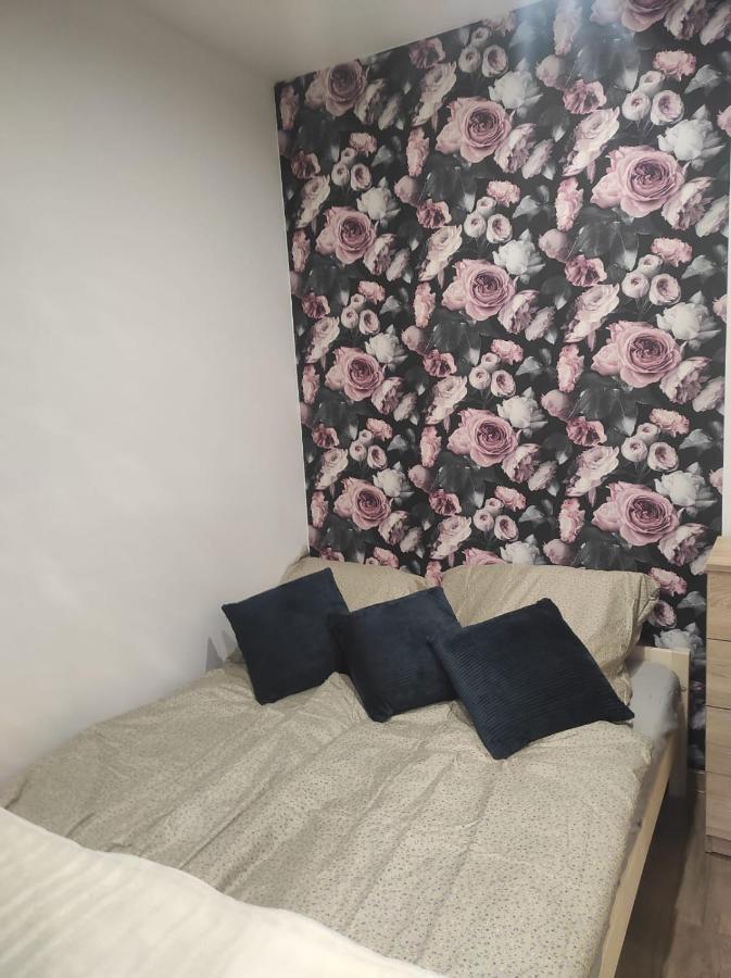Apartament Walbrzych Pilsuckiego News Apartament Zewnętrze zdjęcie